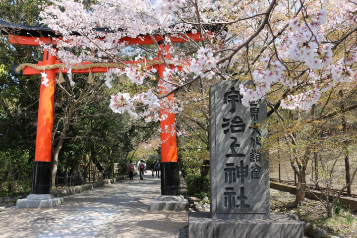 宇治上神社