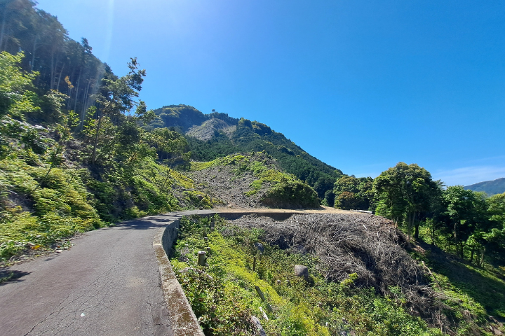 登山道