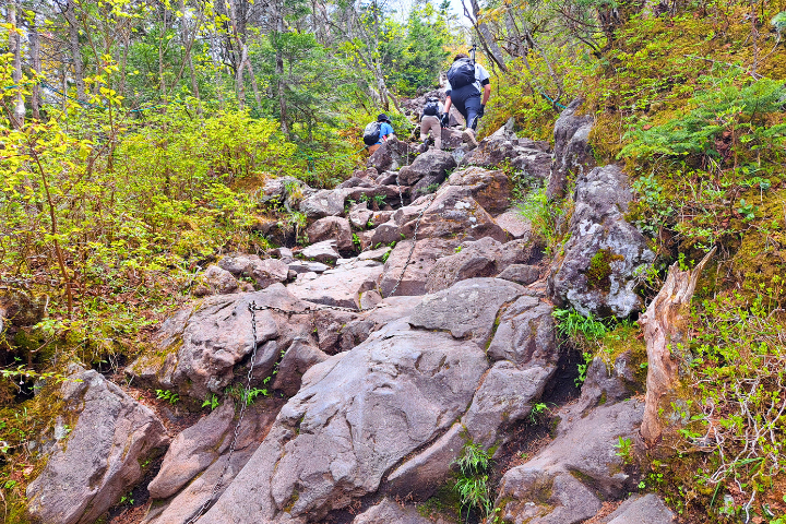 登山道