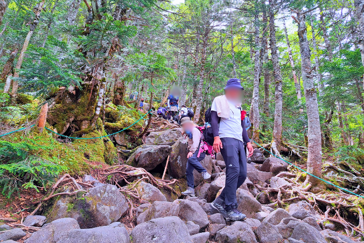 登山道