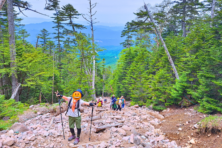 登山道