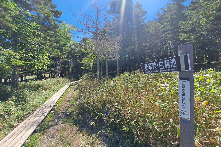 登山口