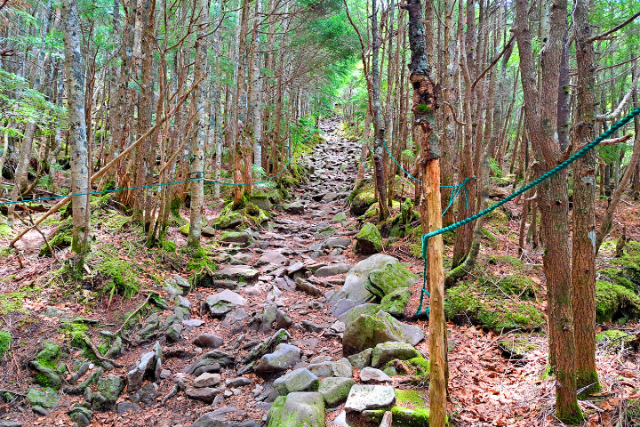 登山道