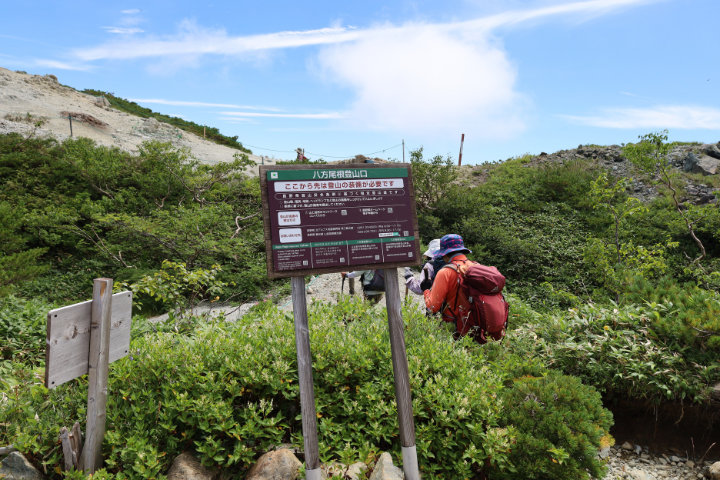 登山道