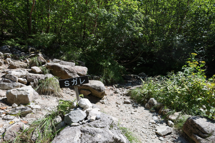 登山道