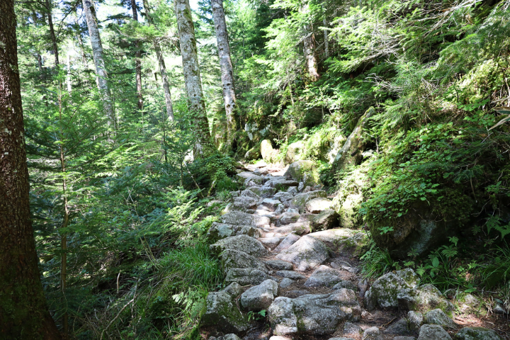 登山道