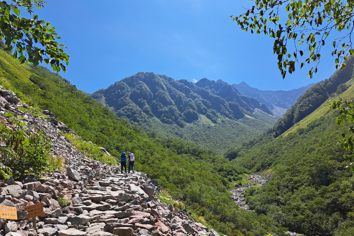 開けた登山道