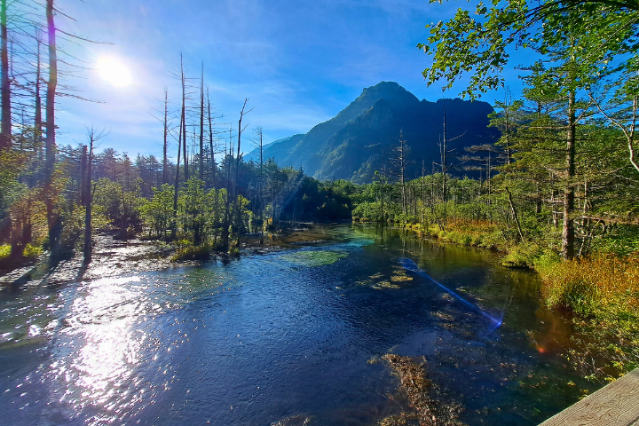 六百山と湿原