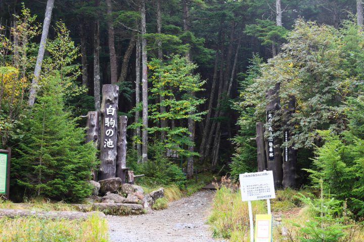 白駒の池入り口