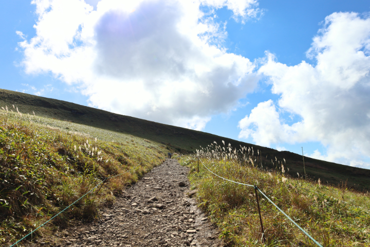 登山道