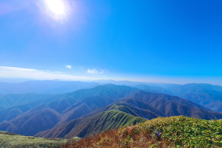 山頂からの景色