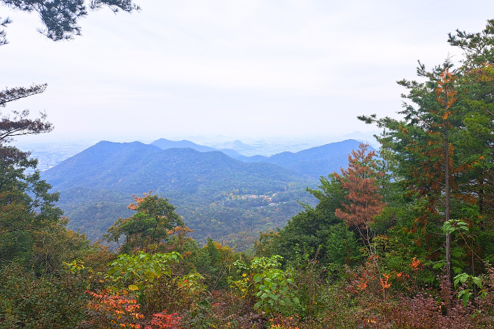 金比羅山からの景色