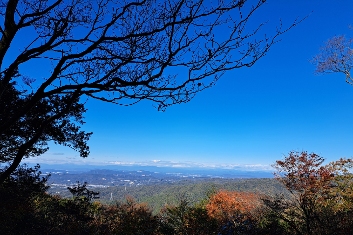 猿投山の山頂からの景色