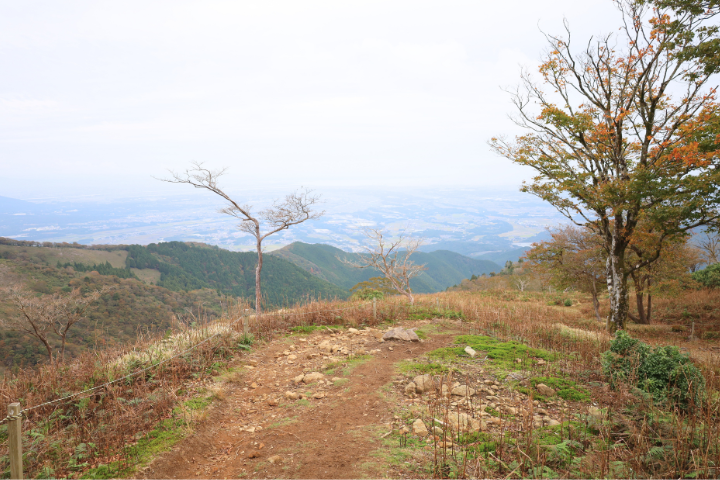 登山道