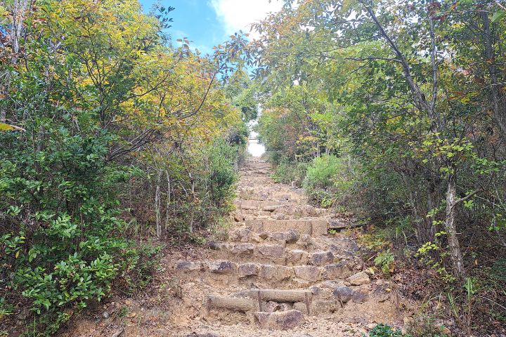 山頂までの急な登山道