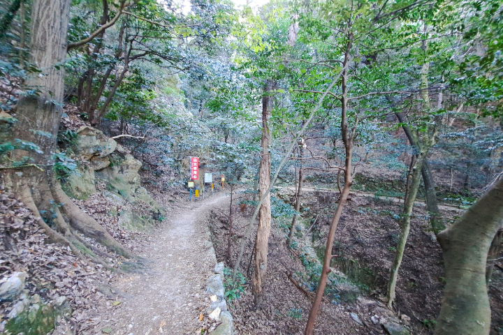 登山道