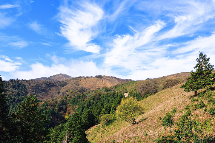 登山道