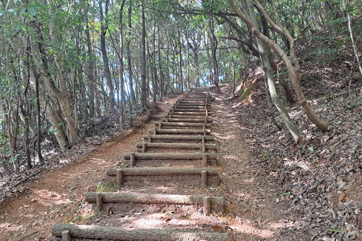 序盤の登山道