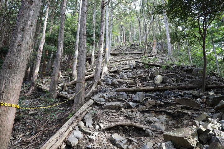 登山道