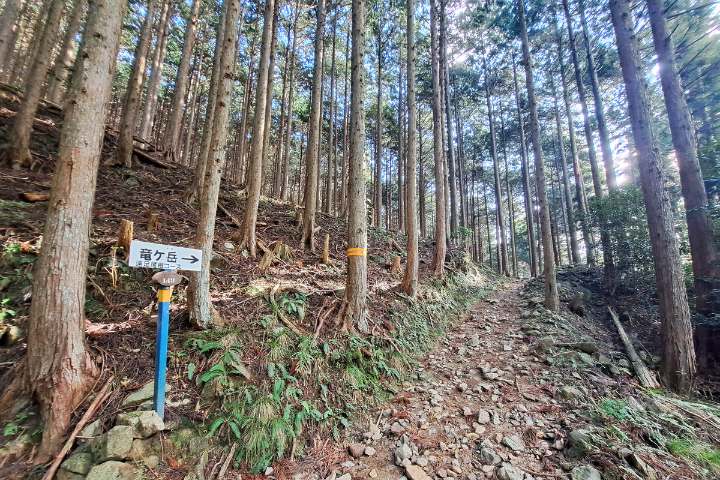 登山口