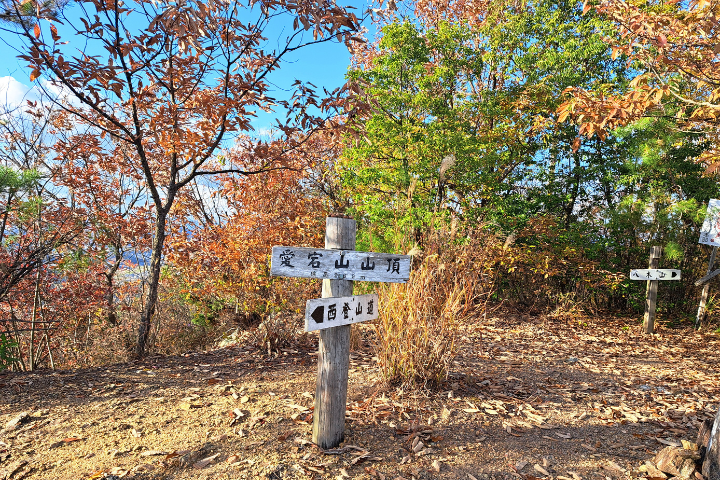 愛宕山の山頂