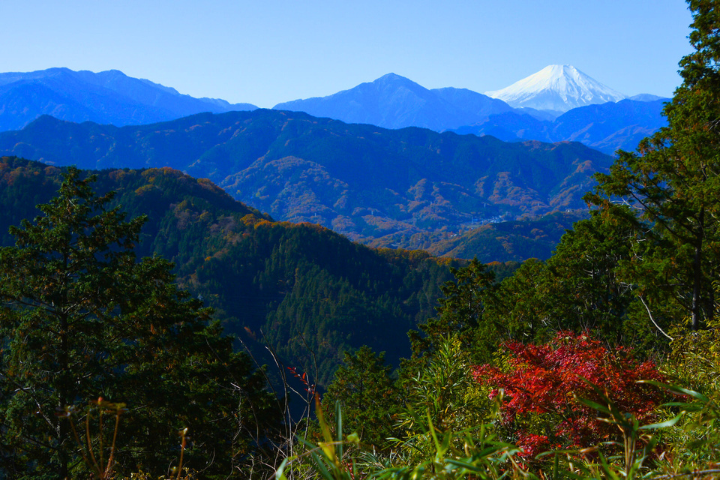 山頂からの眺望