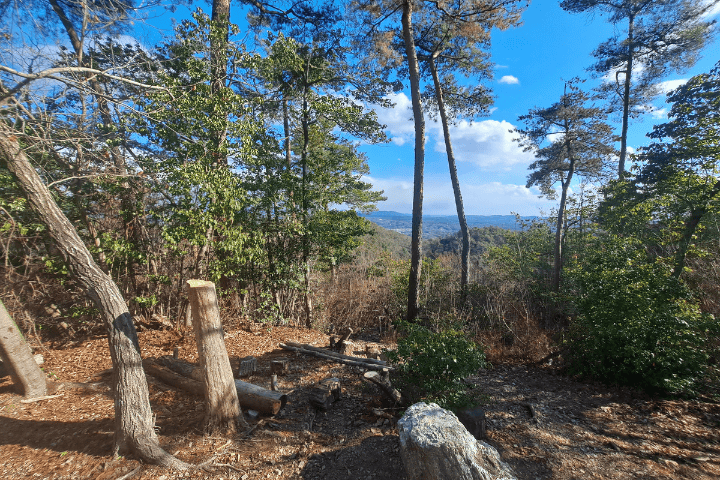 西山か山頂からの景色