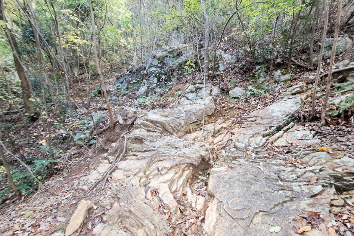 岩場の登山道