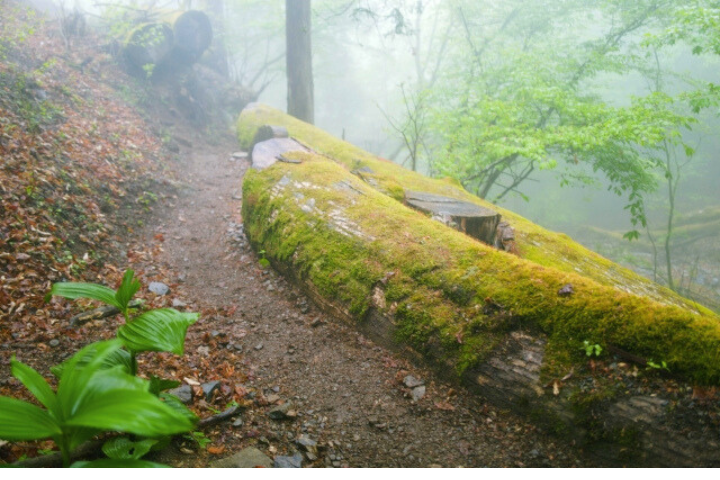 天候悪化の登山道