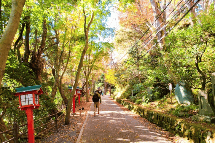 高尾山