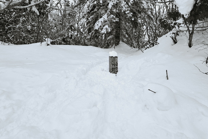 標識が雪に埋もれた山頂