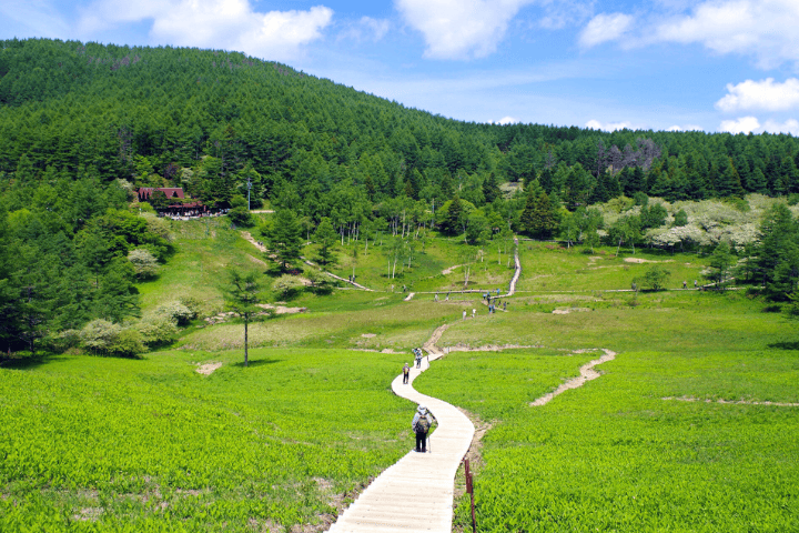 入笠山