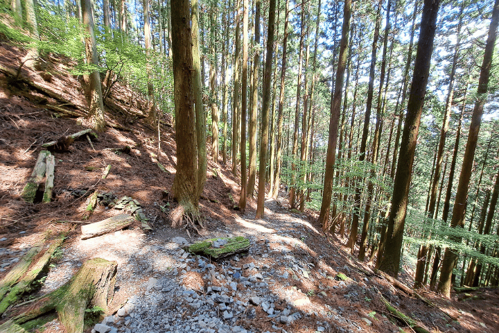 二本松コースの登山道