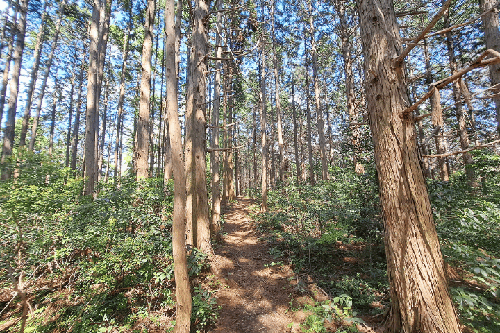 尾根道