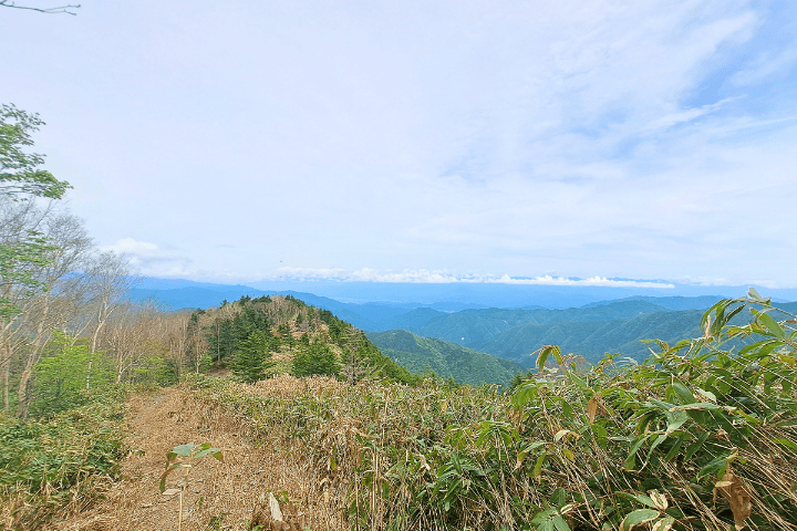 開けた景色