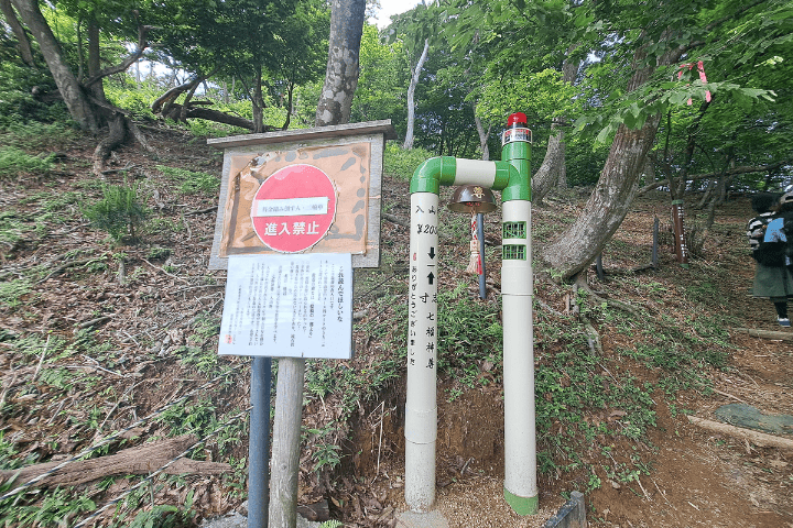 入山料