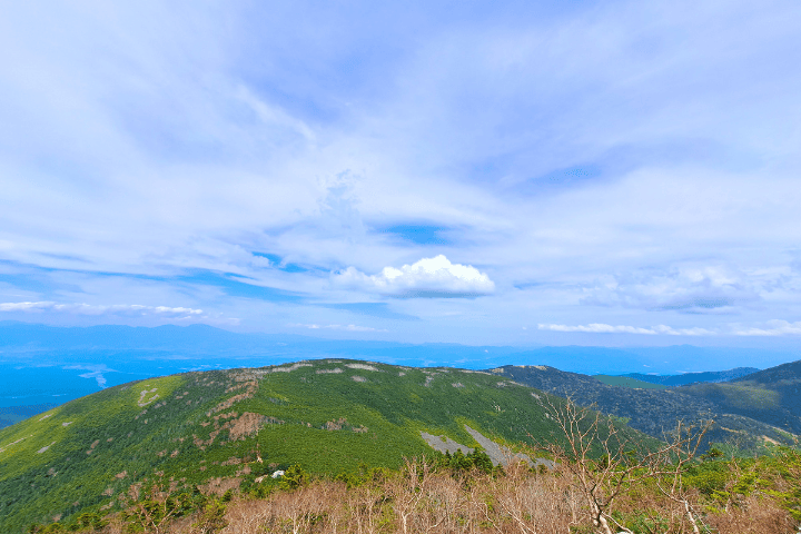 下山中の景色