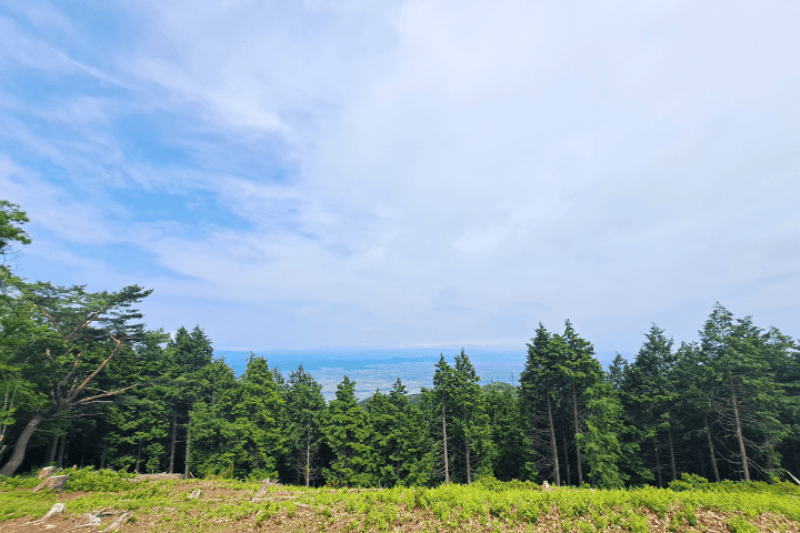 池田山山頂