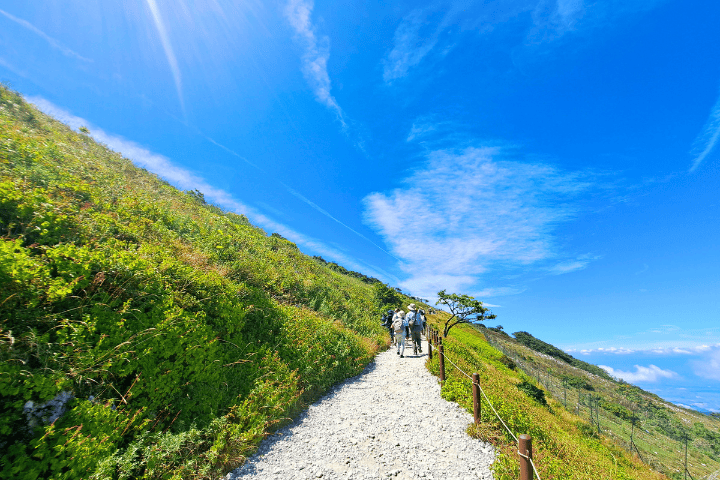 西登山コース