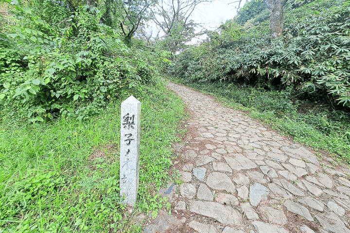 梨子ノ木坂(なしのきざか)