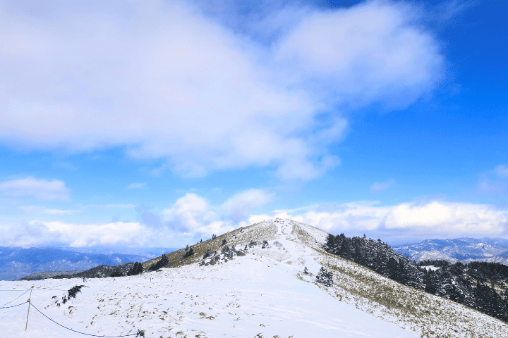 富士見台高原の山頂