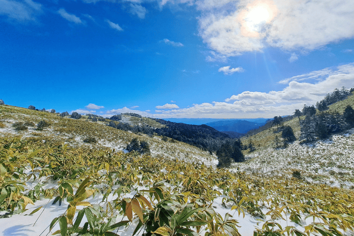 道中の開けた景色