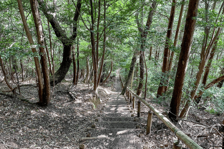 東谷山散策路の急な階段