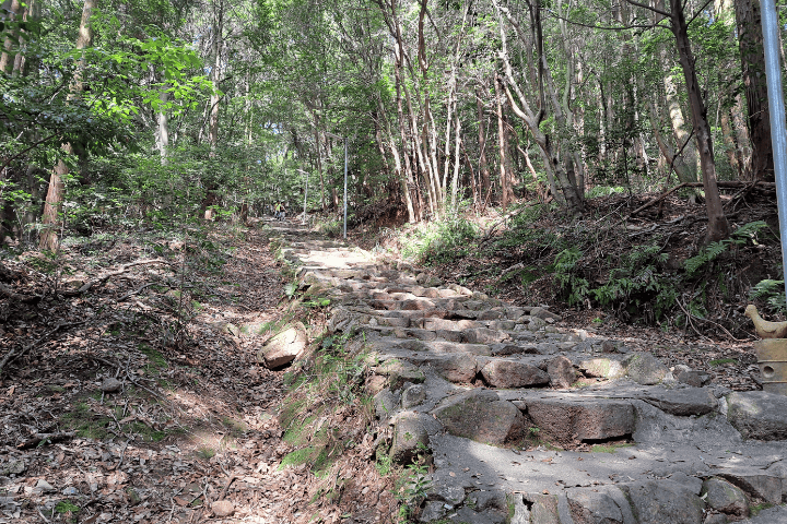 東谷山南参道コース終盤の石段