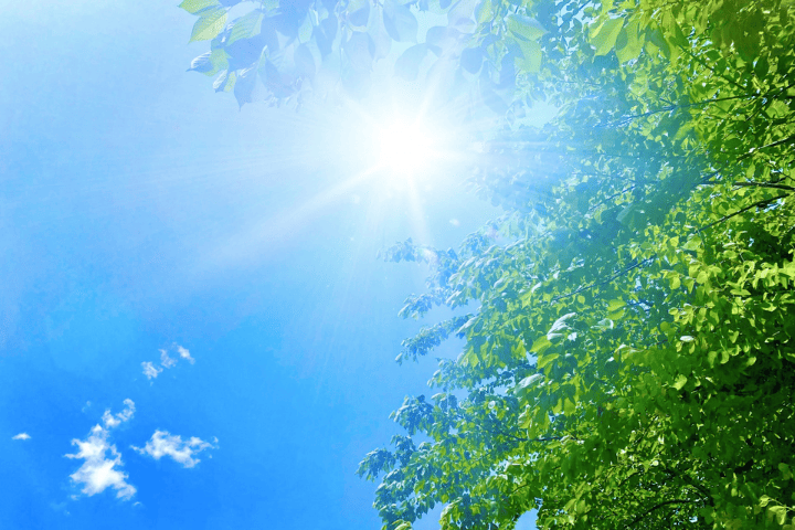 夏の日差し