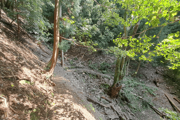 天王山の登山道と大もみじ