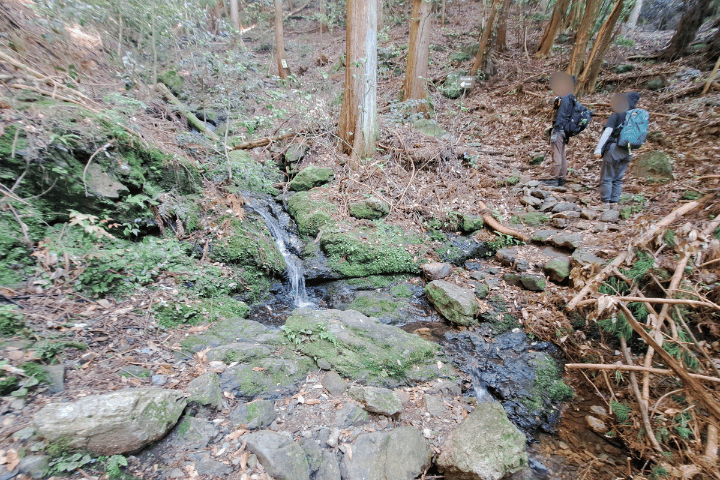 天王山 沢沿いの登山道の様子
