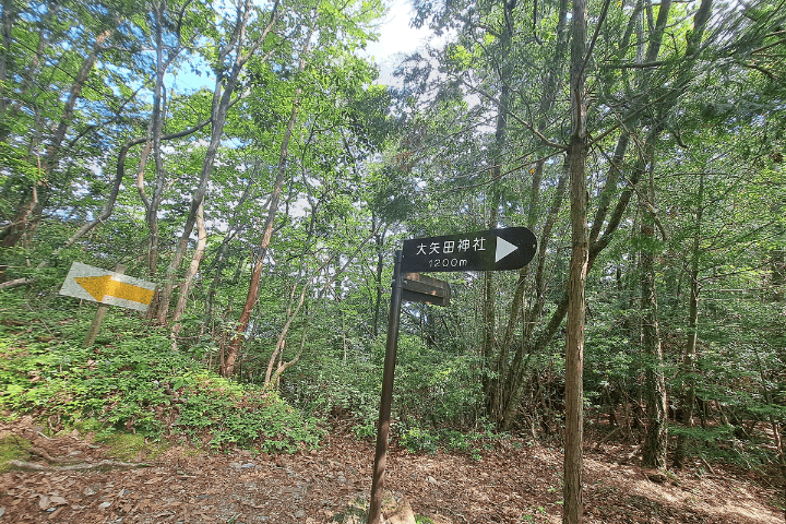 天王山 登山道の分岐
