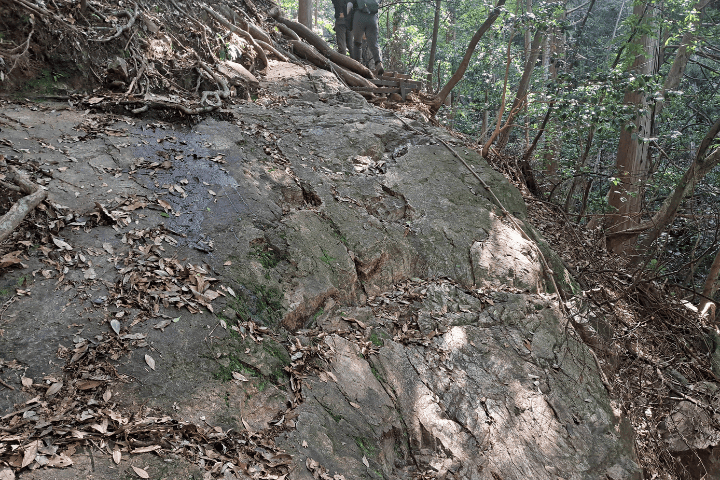 天王山の登山道 ロープありの急登と岩場