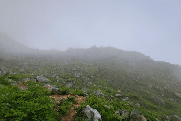濃いガスに包まれ視界が真っ白になった登山道